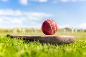 How to Play Cricket Online with Tigerexch: A Beginner’s Guide